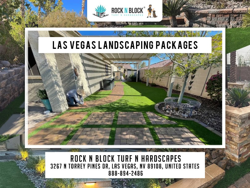HOA-Approved Desert Color: Landscaping Las Vegas with Native Wildflowers